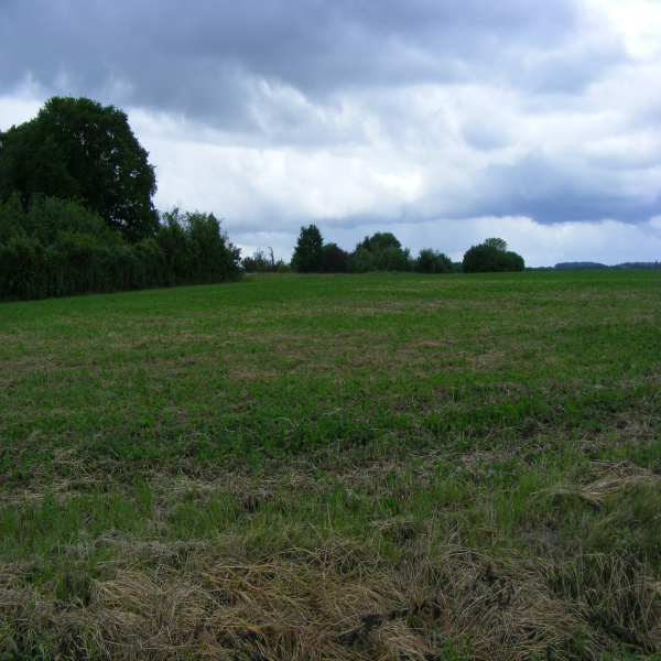 Offres de vente Terrain Vicq-sur-Nahon 36600